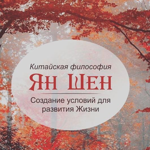 Теория Ян-Шен